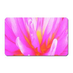 Fiery Hot Pink And Yellow Cactus Dahlia Flower Magnet (rectangular) by myrubiogarden