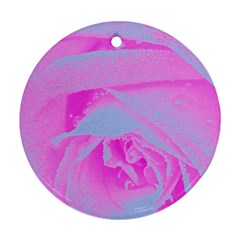 Perfect Hot Pink And Light Blue Rose Detail Ornament (round) by myrubiogarden