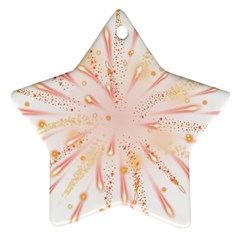 Graphic Design Adobe Fireworks Star Ornament (two Sides)