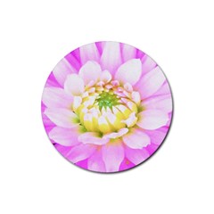 Pretty Pink, White And Yellow Cactus Dahlia Macro Rubber Round Coaster (4 Pack)  by myrubiogarden