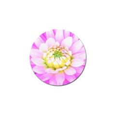 Pretty Pink, White And Yellow Cactus Dahlia Macro Golf Ball Marker (10 Pack) by myrubiogarden