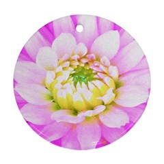Pretty Pink, White And Yellow Cactus Dahlia Macro Round Ornament (two Sides) by myrubiogarden