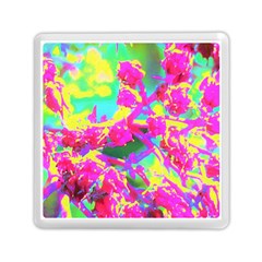 Psychedelic Succulent Sedum Turquoise And Yellow Memory Card Reader (square) by myrubiogarden