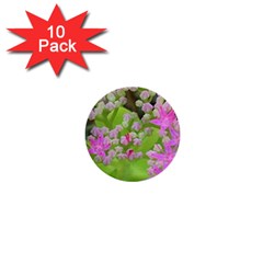 Hot Pink Succulent Sedum With Fleshy Green Leaves 1  Mini Buttons (10 Pack) 
