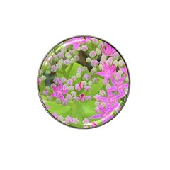 Hot Pink Succulent Sedum With Fleshy Green Leaves Hat Clip Ball Marker (4 Pack) by myrubiogarden