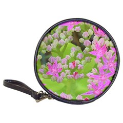 Hot Pink Succulent Sedum With Fleshy Green Leaves Classic 20-cd Wallets by myrubiogarden