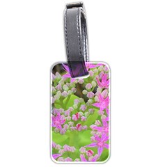 Hot Pink Succulent Sedum With Fleshy Green Leaves Luggage Tags (two Sides) by myrubiogarden