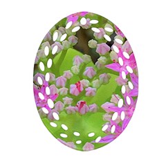 Hot Pink Succulent Sedum With Fleshy Green Leaves Oval Filigree Ornament (two Sides) by myrubiogarden