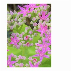 Hot Pink Succulent Sedum With Fleshy Green Leaves Small Garden Flag (two Sides) by myrubiogarden
