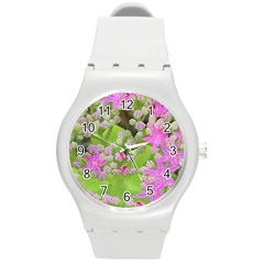 Hot Pink Succulent Sedum With Fleshy Green Leaves Round Plastic Sport Watch (m) by myrubiogarden