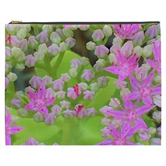 Hot Pink Succulent Sedum With Fleshy Green Leaves Cosmetic Bag (xxxl) by myrubiogarden