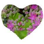 Hot Pink Succulent Sedum With Fleshy Green Leaves Large 19  Premium Heart Shape Cushions Back