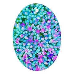 Blue And Hot Pink Succulent Sedum Flowers Detail Ornament (oval) by myrubiogarden