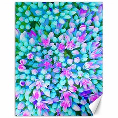 Blue And Hot Pink Succulent Sedum Flowers Detail Canvas 12  X 16  by myrubiogarden