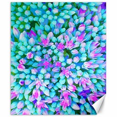 Blue And Hot Pink Succulent Sedum Flowers Detail Canvas 20  X 24  by myrubiogarden