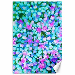 Blue And Hot Pink Succulent Sedum Flowers Detail Canvas 20  X 30  by myrubiogarden