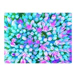 Blue And Hot Pink Succulent Sedum Flowers Detail Double Sided Flano Blanket (Mini)  35 x27  Blanket Front