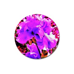 Abstract Ultra Violet Purple Iris On Red And Pink Magnet 3  (round) by myrubiogarden