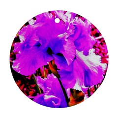 Abstract Ultra Violet Purple Iris On Red And Pink Round Ornament (two Sides) by myrubiogarden