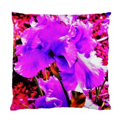 Abstract Ultra Violet Purple Iris On Red And Pink Standard Cushion Case (two Sides)