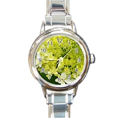 Elegant Chartreuse Green Limelight Hydrangea Macro Round Italian Charm Watch by myrubiogarden