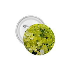 Elegant Chartreuse Green Limelight Hydrangea Macro 1 75  Buttons by myrubiogarden