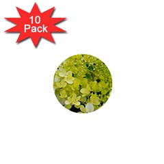 Elegant Chartreuse Green Limelight Hydrangea Macro 1  Mini Buttons (10 Pack)  by myrubiogarden