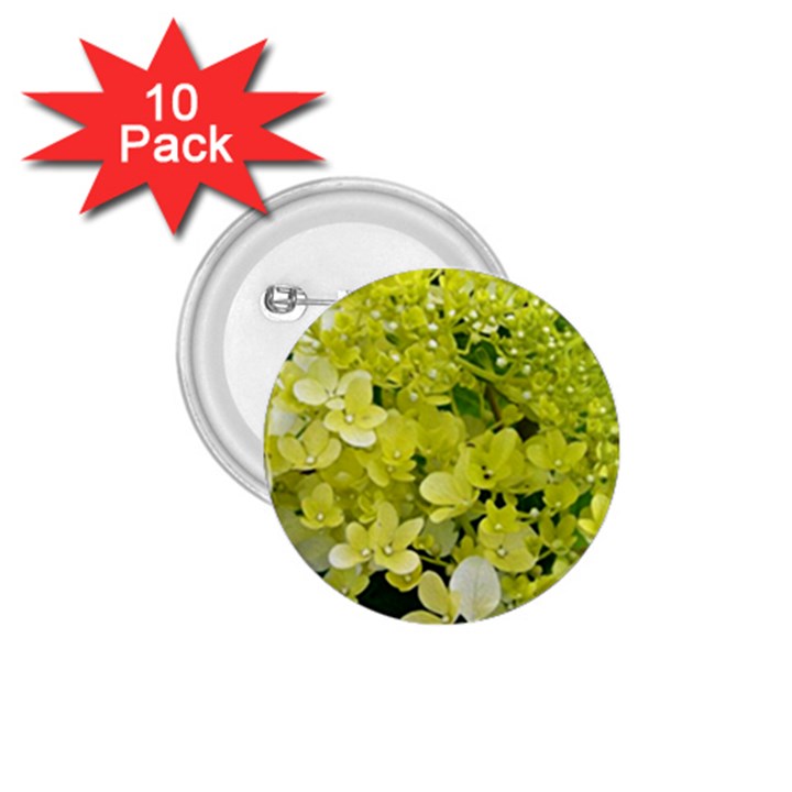 Elegant Chartreuse Green Limelight Hydrangea Macro 1.75  Buttons (10 pack)