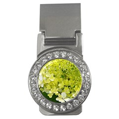 Elegant Chartreuse Green Limelight Hydrangea Macro Money Clips (cz)  by myrubiogarden