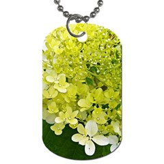 Elegant Chartreuse Green Limelight Hydrangea Macro Dog Tag (two Sides) by myrubiogarden