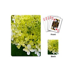 Elegant Chartreuse Green Limelight Hydrangea Macro Playing Cards (mini) by myrubiogarden