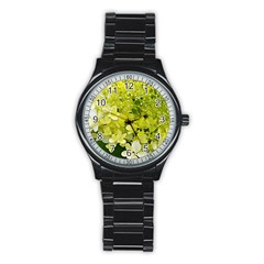 Elegant Chartreuse Green Limelight Hydrangea Macro Stainless Steel Round Watch by myrubiogarden