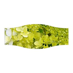 Elegant Chartreuse Green Limelight Hydrangea Macro Stretchable Headband by myrubiogarden