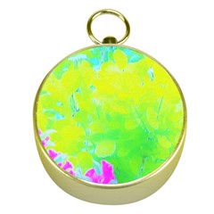 Fluorescent Yellow And Pink Abstract Garden Foliage Gold Compasses by myrubiogarden