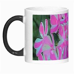 Hot Pink And White Peppermint Twist Garden Phlox Morph Mugs by myrubiogarden