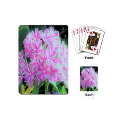 Hot Pink And White Peppermint Twist Garden Phlox Playing Cards (mini) by myrubiogarden