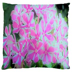 Hot Pink And White Peppermint Twist Garden Phlox Large Cushion Case (two Sides) by myrubiogarden