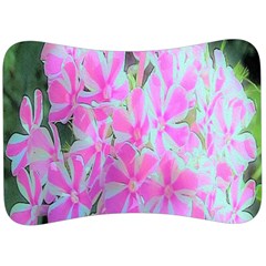 Hot Pink And White Peppermint Twist Garden Phlox Velour Seat Head Rest Cushion by myrubiogarden