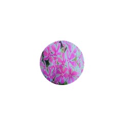 Hot Pink And White Peppermint Twist Garden Phlox 1  Mini Magnets by myrubiogarden