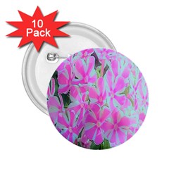 Hot Pink And White Peppermint Twist Garden Phlox 2 25  Buttons (10 Pack)  by myrubiogarden