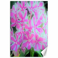 Hot Pink And White Peppermint Twist Garden Phlox Canvas 24  X 36  by myrubiogarden
