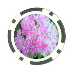 Hot Pink And White Peppermint Twist Garden Phlox Poker Chip Card Guard by myrubiogarden