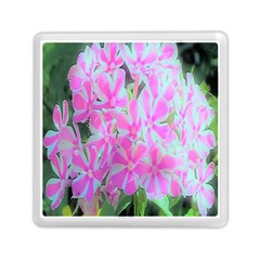 Hot Pink And White Peppermint Twist Garden Phlox Memory Card Reader (square) by myrubiogarden