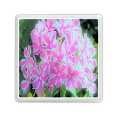 Hot Pink And White Peppermint Twist Garden Phlox Memory Card Reader (square)