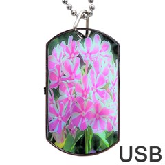 Hot Pink And White Peppermint Twist Garden Phlox Dog Tag Usb Flash (two Sides) by myrubiogarden