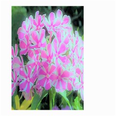 Hot Pink And White Peppermint Twist Garden Phlox Small Garden Flag (two Sides) by myrubiogarden
