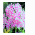 Hot Pink And White Peppermint Twist Garden Phlox Small Garden Flag (Two Sides) Front