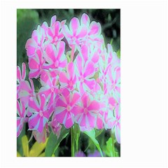 Hot Pink And White Peppermint Twist Garden Phlox Large Garden Flag (two Sides) by myrubiogarden