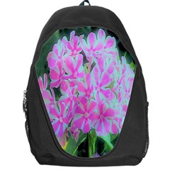 Hot Pink And White Peppermint Twist Garden Phlox Backpack Bag by myrubiogarden