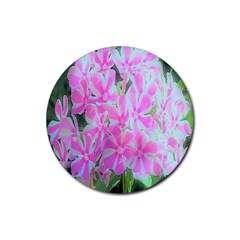 Hot Pink And White Peppermint Twist Garden Phlox Rubber Round Coaster (4 Pack)  by myrubiogarden